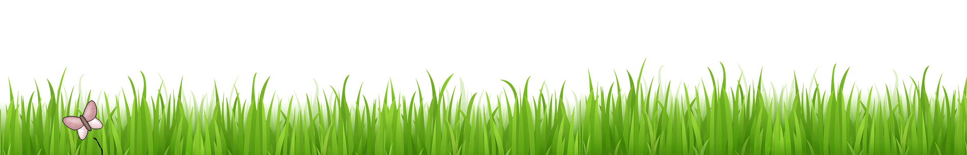 Image Banner